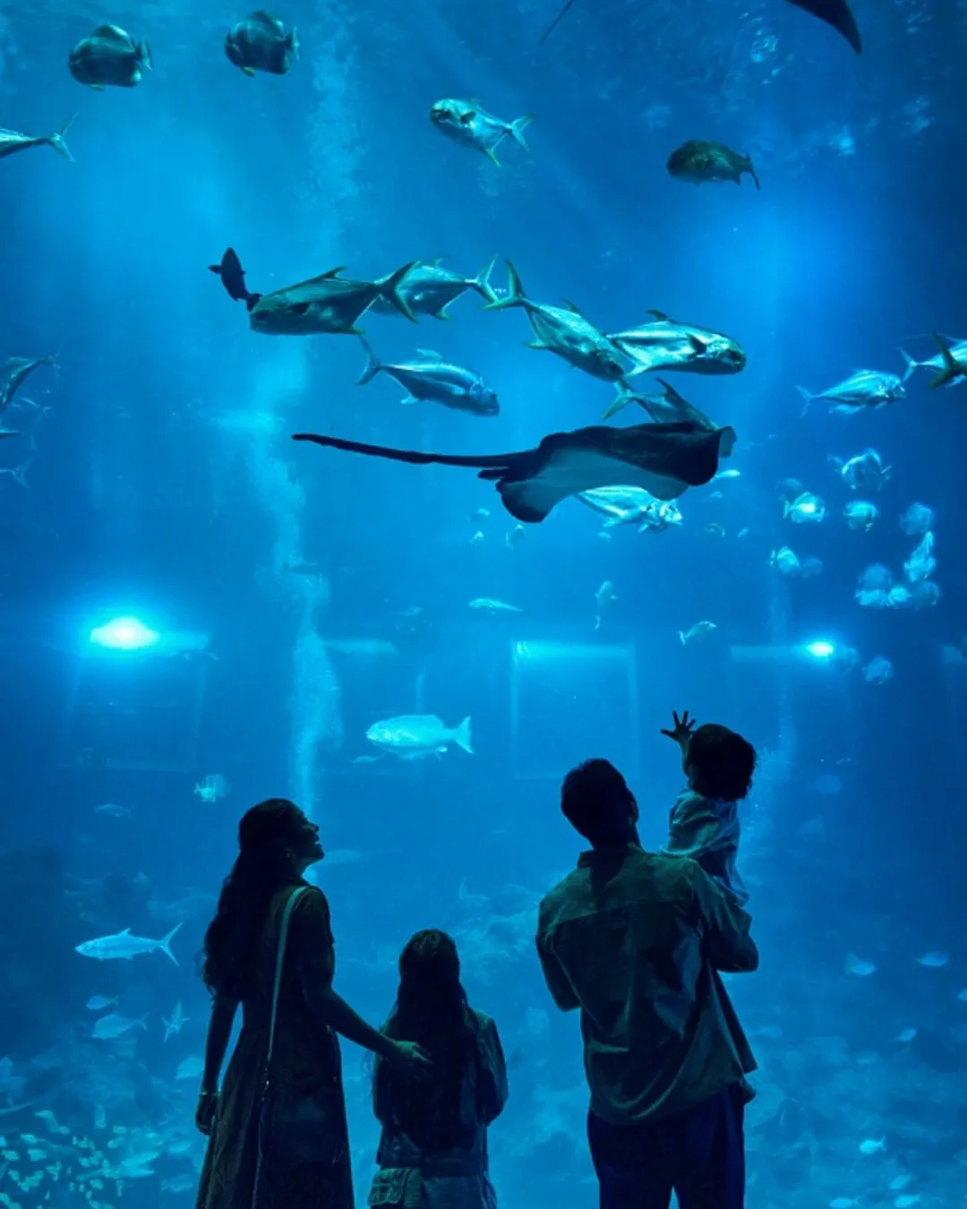 Singapore Oceanarium