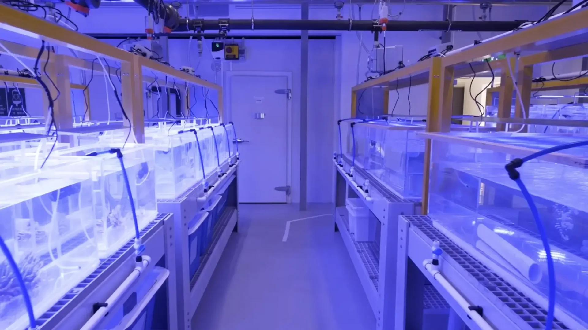 Minderoo Exmouth Research Laboratory tanks